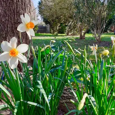 Your Secret Garden At Pont Du Gard! * Remoulins